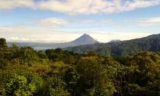 BEN-Arenal